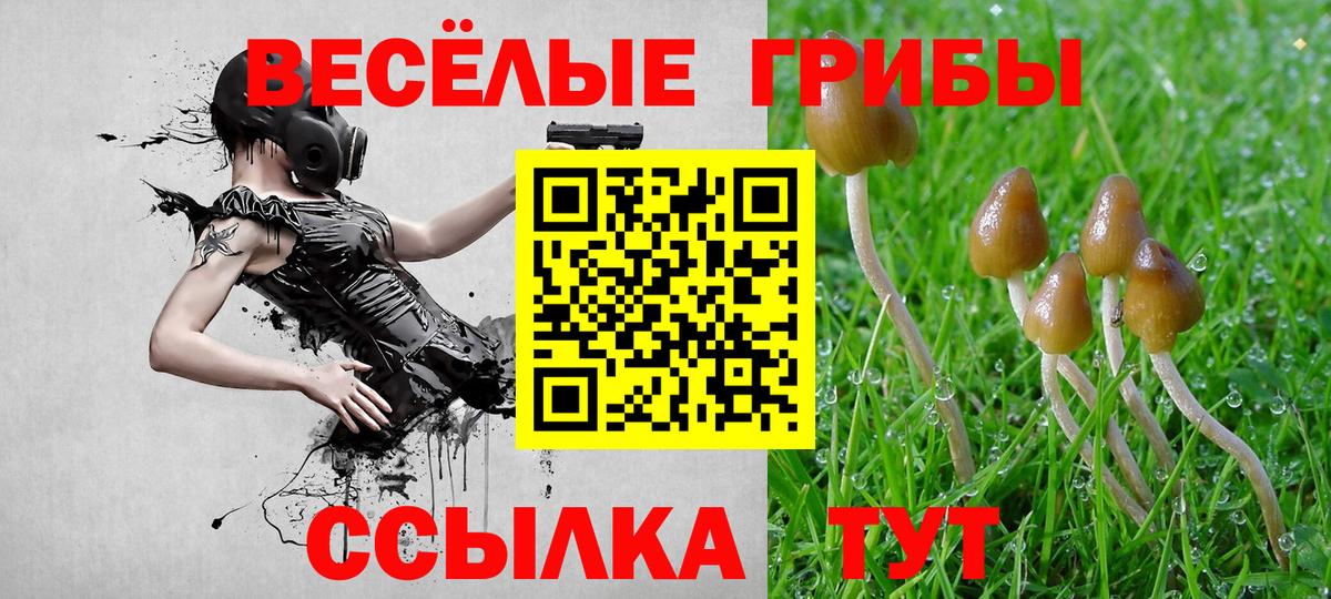 Псилоцибиновые грибы ЛСД Сертолово
