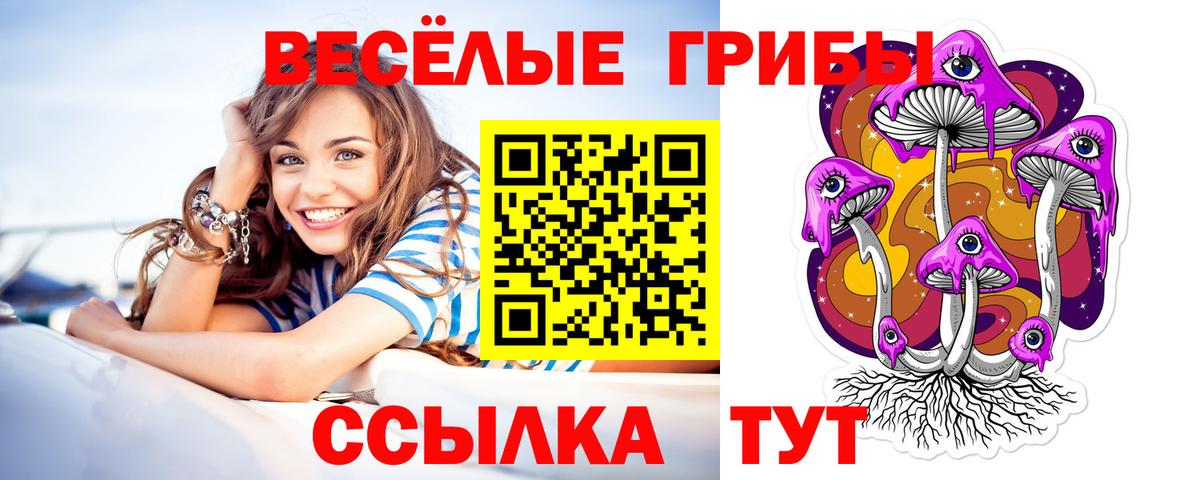 Сертолово  Галлюциногенные грибы прущие грибы  Вход с VPN  Псилоцибиновые грибы прущие грибы 
